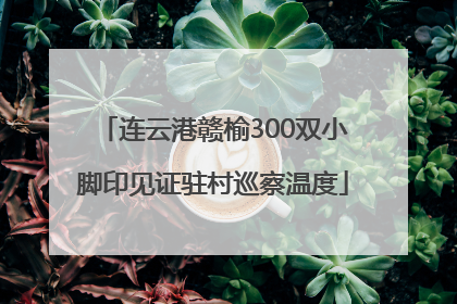 连云港赣榆300双小脚印见证驻村巡察温度